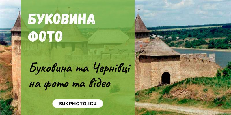 buk-photo